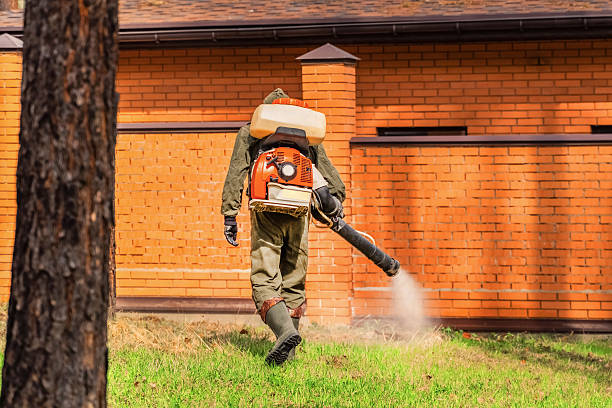 Trusted Bed Bug Control service in Newton Falls, OH - Nex Pest Control